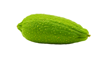 A single green pointed gourd vegetable with small bumps isolated against a black background view