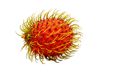 A close up shot of a rambutan fruit with yellow spines on a black background in high definition