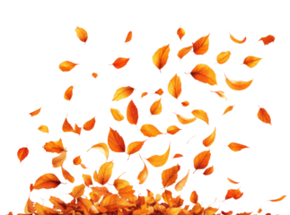 Autumn leaves falling nature digital isolated on transparent background, png