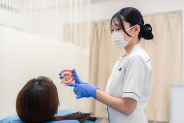 Obraz premium 歯の模型を使って患者に説明をする歯科助手の女性