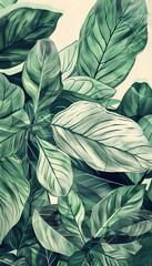 Nature background. Creative concept of green leaves for web and graphic design background cover, environment and ecology wallpaper. © Mrkvica