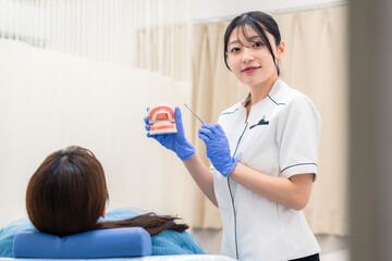 Obraz premium 歯の模型を使って患者に説明をする歯科助手の女性