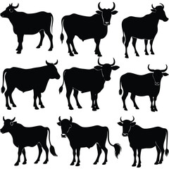 Black Cow silhouette vector icon set isolated on white background.