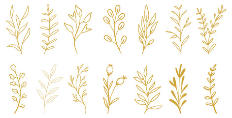 Gold branch leaf element set. Hand drawn sketch doodle golden leaves floral element for wedding background, elegant design. Vector illustration. 