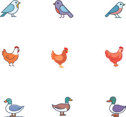 Obraz premium collection of birds