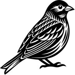 Obraz premium Flying birds silhouettes on white background. Vector illustration. isolated bird flying. tattoo design.