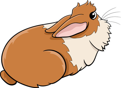 brown and white cartoon rabbit clip art preview