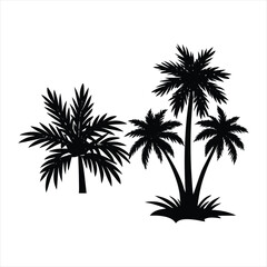 Obraz premium A set of isolated black vector silhouettes of various palm tree designs on a white background