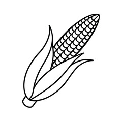 vector illustration of a corn cob