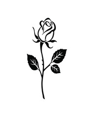 Eternal Bloom: A delicate black and white illustration of a single rose in full bloom, representing classic elegance and natural beauty.