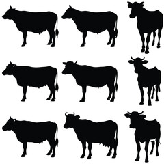 Black Cow silhouette vector icon set isolated on white background.