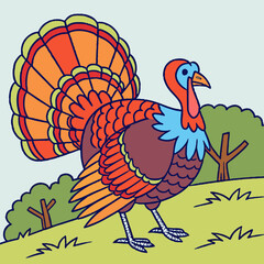 Fototapeta premium A turkey with colorful feathers