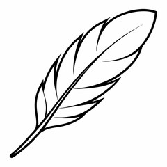 Obraz premium Feather Outline Coloring Book Page Line Art Drawing