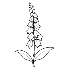 Foxglove Flower Plant Outline Coloring Book Page