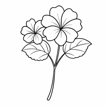 recommend clip art: Geranium Flower Plant Outline Coloring Book Page