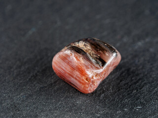 Petrified wood is fossil where organic materials have been replaced by minerals, preserving original structure of the wood.