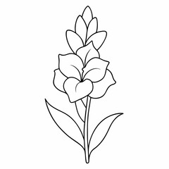 Obraz premium Gladiolus Flower Plant Outline Coloring Book Page