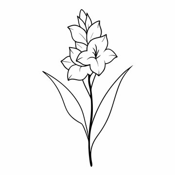 recommend clip art: Gladiolus Flower Plant Outline Coloring Book Page