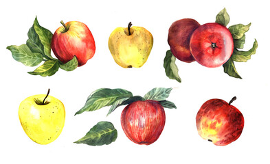 Watercolor set apples. Watercolor seamless.
