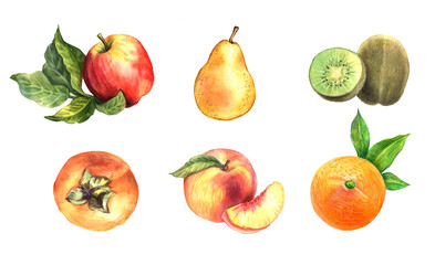 Watercolor set Fruits. Watercolor illustration. 