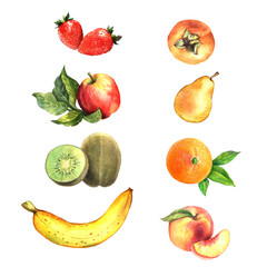 Watercolor hand painted set Fruits