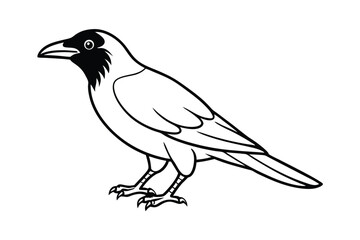 Fototapeta premium vector illustration of a crow bird