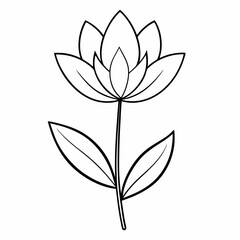 Obraz premium Pasque Flower Plant Outline Vector – Line Art Drawing for Coloring Book Page on White Background