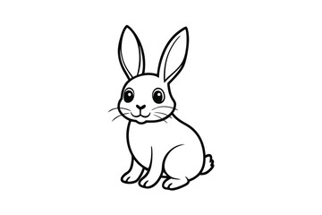 Obraz premium rabbit with a white background