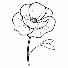 Poppy Flower Outline Vector – Line Art Drawing for Coloring Book Page on White Background