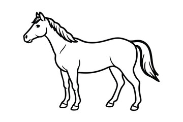 Obraz premium horse isolated on white background