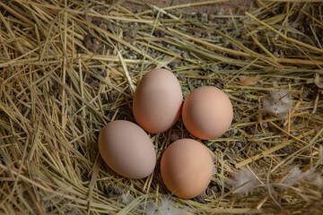 traditional courtyard and village house in Moldova. old house with rustic facade