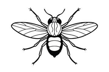 Obraz premium vector illustration of a housefly
