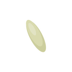 Bed bug eggs. Vector science Educational illustration.