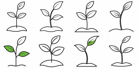 Seedling Sprout Outline Vector Set – Line Art Drawing for Coloring Book Page on White Background