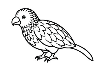 Fototapeta premium kakapo isolated on white background