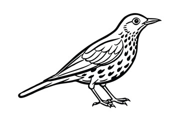 sketch of a bird