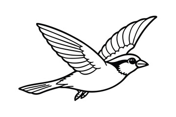 Fototapeta premium white dove flying
