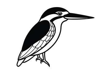 vector illustration of a bird