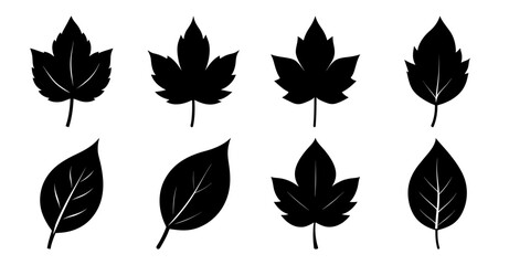 Collection of eight different black leaf silhouettes isolated on white background.  Perfect for autumn themes, nature designs, and botanical illustrations.