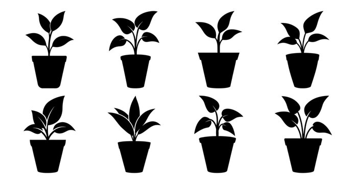 Collection of eight potted plants in black silhouette illustrations showing different types of houseplants in simple flowerpots