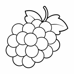 Various Grapes Outline Coloring Book Page Line Art