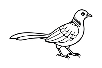vector illustration of a dove