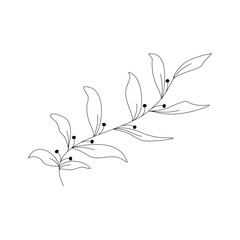 branch with leaves