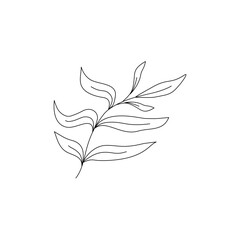 Naklejka premium branch with leaves