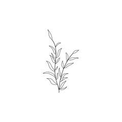 branch with leaves