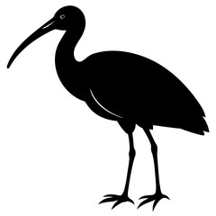 Obraz premium A ibis silhouette vector illustration on white background