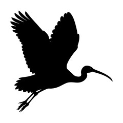 A ibis flying  silhouette vector illustration on white background