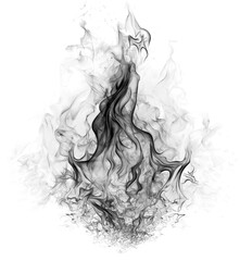 Fototapeta premium black smoke or fog isolated on white background. 