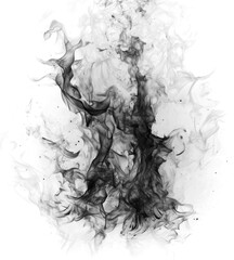 Fototapeta premium black smoke or fog isolated on white background. 