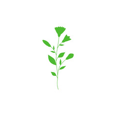 Fototapeta premium green branch with leaves
